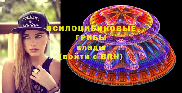 синтетический гашиш Алексеевка