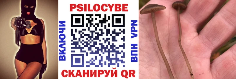 Галлюциногенные грибы мухоморы  Югорск 
