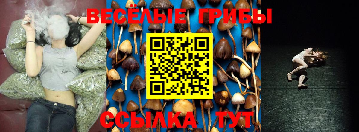 Галлюциногенные грибы мухоморы  Вход с VPN  Псилоцибиновые грибы мицелий  Югорск 